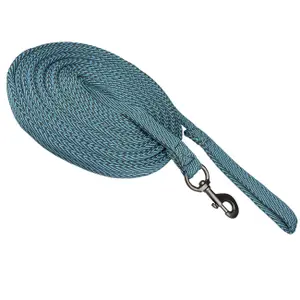 Horse lanyard York Stripe image-0