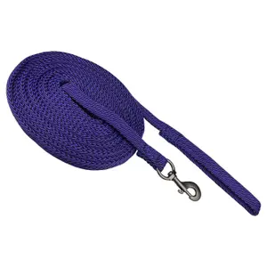 Horse lanyard York Stripe image-0