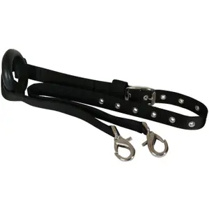 Reins for horses York image-0