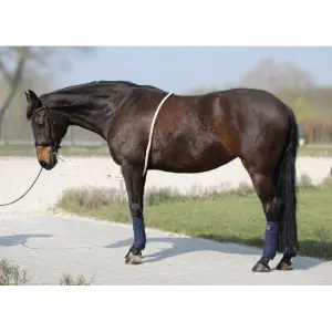 Riding lanyard York image-0
