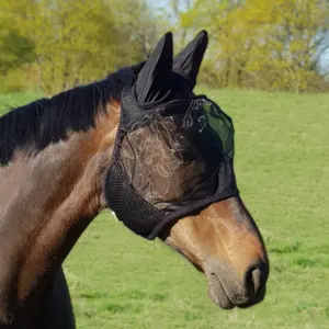 Anti-fly Mask York image-0