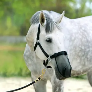 Horse Fly Mask York image-0