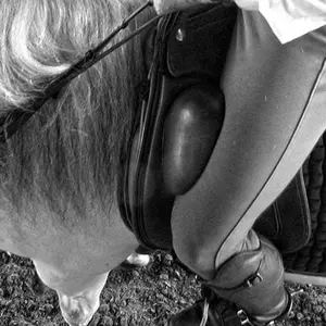 Saddle for horse Zaldi Doma Drim Atlanta image-4