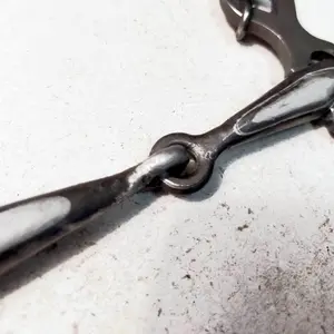 Stainless Steel Portuguese Bit for Horse Zaldi 131 image-2