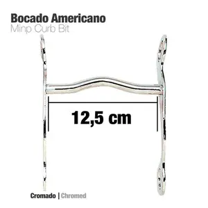 American Horse Bit Zaldi 25208 image-0