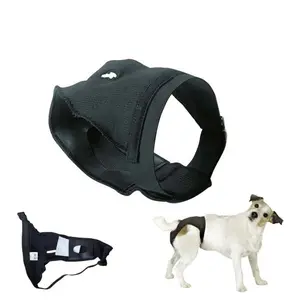 Protective panty for dogs Zaldi image-0