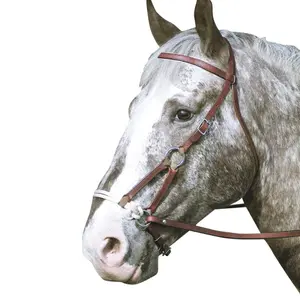 Bridles for horses Zaldi Western Sidepull image-0