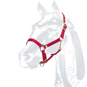Halter for horse Zaldi Castecus image-0