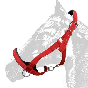 Bridles for horses Zaldi 290 image-0