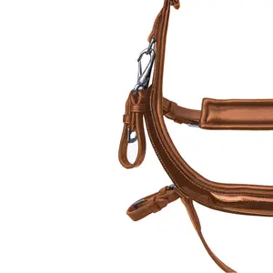 Riding bridle Zaldi Horse Ware Ireland AZB849 image-1