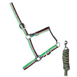 Bridles for horses Zaldi 6886 image-0
