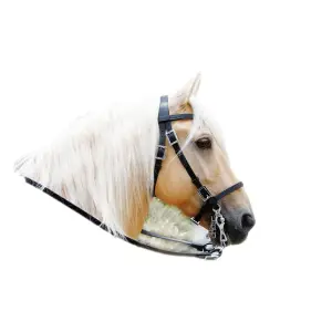Simple Portuguese Riding Bridle with Reins Zaldi Extra image-0