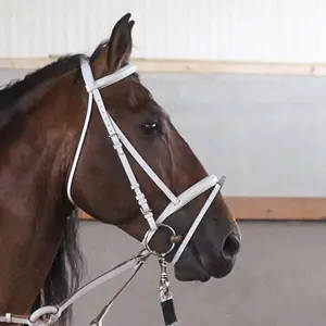 Riding bridle Zaldi Volteo image-0