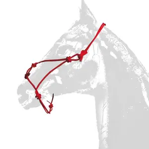 Halter for horse Zaldi Umbria CA00129 image-1