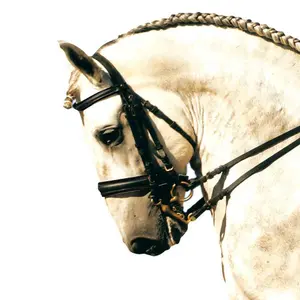 Double Horse Riding Bridles Zaldi Sanjorge image-0