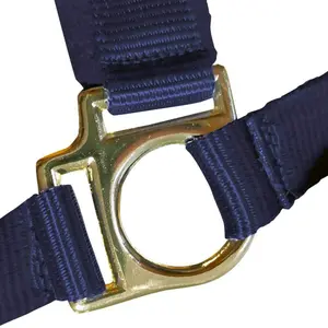 Halter for horse Zaldi Deluxe image-2