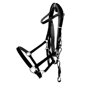 Horse Riding Bridle Zaldi Raid Endurance AZBT 790 image-0