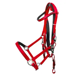 Horse Riding Bridle Zaldi Raid Endurance AZBT 790 image-0