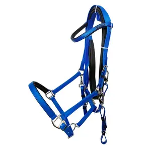 Horse Riding Bridle Zaldi Raid Endurance AZBT 790 image-0
