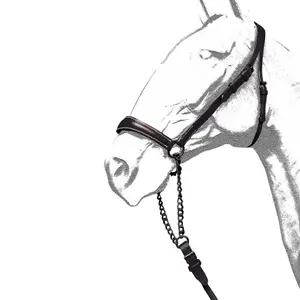 Bridles for horses Zaldi Ronda image-0