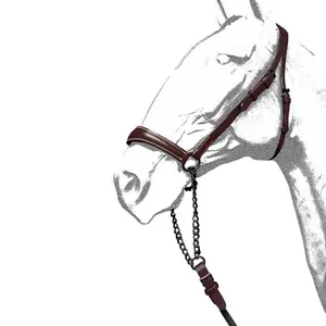 Bridles for horses Zaldi Ronda image-0