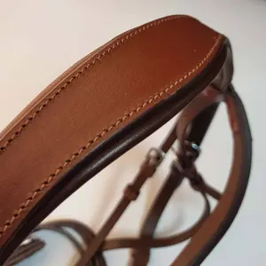 Riding bridle Zaldi Crystal image-3