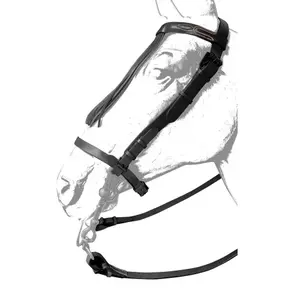 Leather horse bridles Zaldi Ronda image-0
