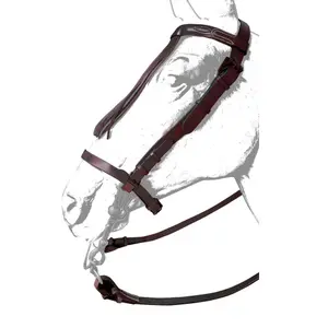 Leather horse bridles Zaldi Ronda image-0