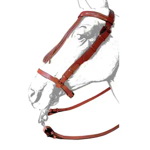 Leather horse bridles Zaldi Ronda image-0