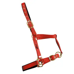 Hoofdstellen voor paarden Zaldi 4022SM image-0