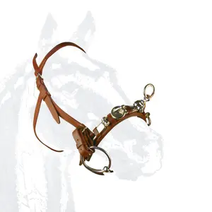 Cavesson for Horse 3 Pillars Zaldi Extra image-0