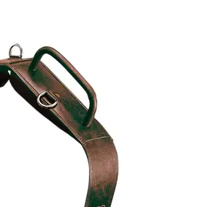 Swivel Horse Strap with Two Leather Coated Handles Zaldi image-0