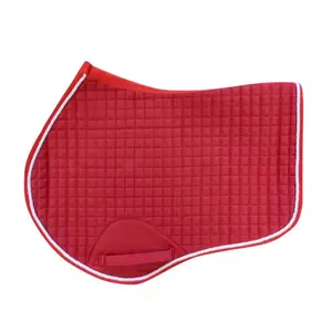 Jumping CSO Mat Zaldi EQUES-8673 image-0