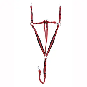 Jagdhalsband für Pferde mit Martingal Zaldi