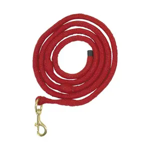 Acrylic Lunge Line Zaldi image-0