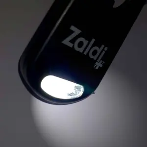 Keychain Zaldi image-2