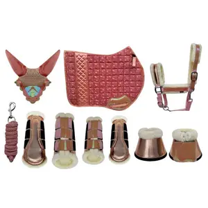 Set Bridle and Rope for Horse No.34 Zaldi image-0