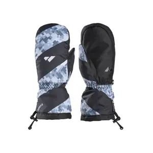 Ski mittens Zanier Twister,GTX image-0