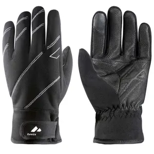 Ski gloves Zanier Switchback image-0