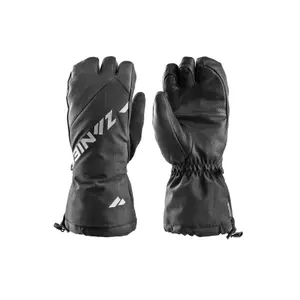 Ski gloves Zanier Alpine Pro Grip,GTX