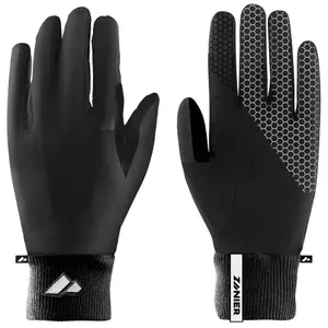 Ski gloves Zanier Frost,ZB image-0