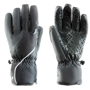 Ski gloves Zanier Seefeld,STX image-0