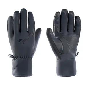 Ski gloves Zanier Move,WS image-0