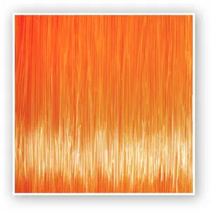 Bottom line Zebco Trophy Trout image-2