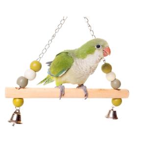 Wooden bird swing with metal chain image-2