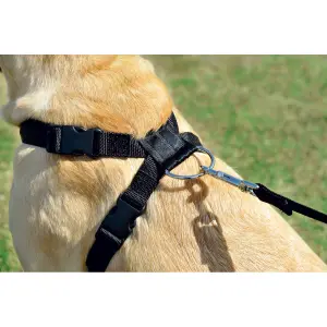 Car safety leash for dogs Zolux image-1