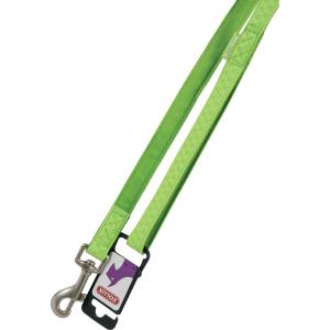 435168ani-dog-leash-zolux-mac-leather-green-20-mm