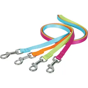 Laisse nylon pour chien Zolux image-3