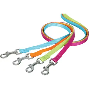 Laisse nylon pour chien Zolux image-2