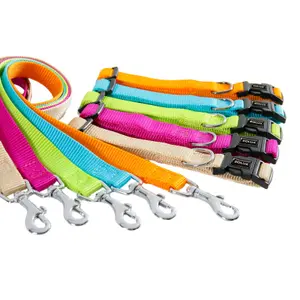 Laisse nylon pour chien Zolux image-2